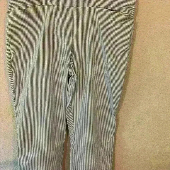 Hilary Radley, Blue and white pin strip high rise pant, size XXL office business - Picture 1 of 5